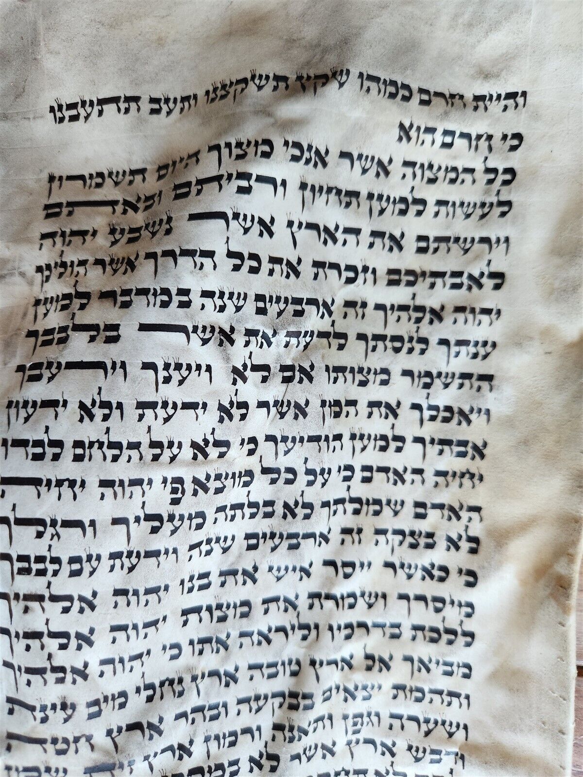 TORAH SCROLL FRAGMENT MANUSCRIPT on VELLUM antique BIBLE DEUTERONOMY 7:26-1:4