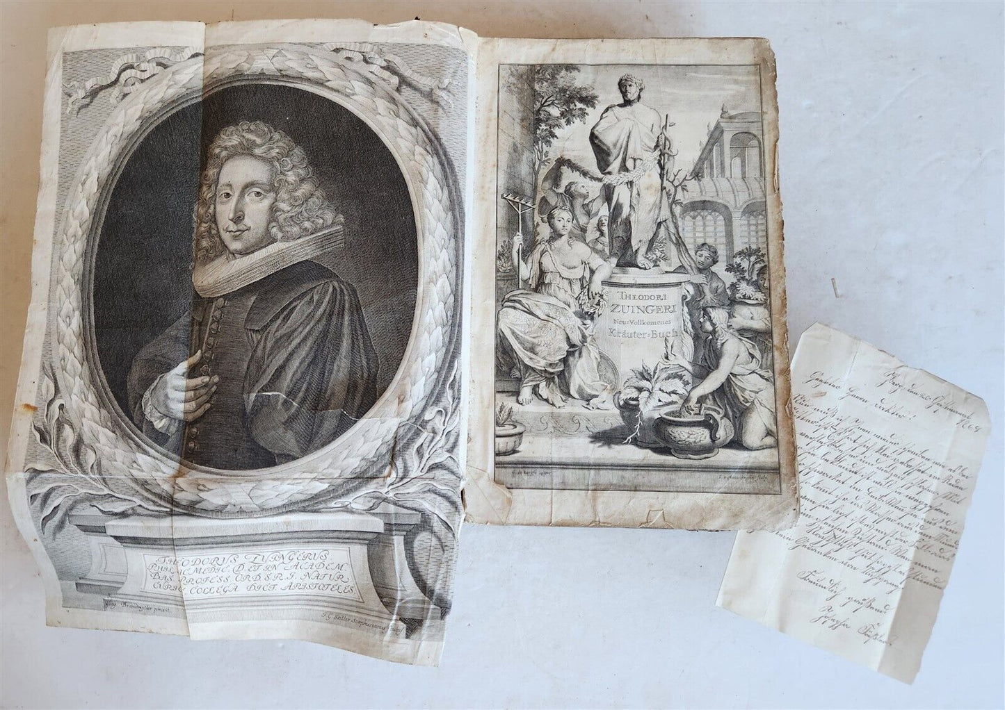 1744 THEATRUM BOTANICUM ILLUSTRATED GERMAN HERBAL antique PIGSKIN BOUND FOLIO