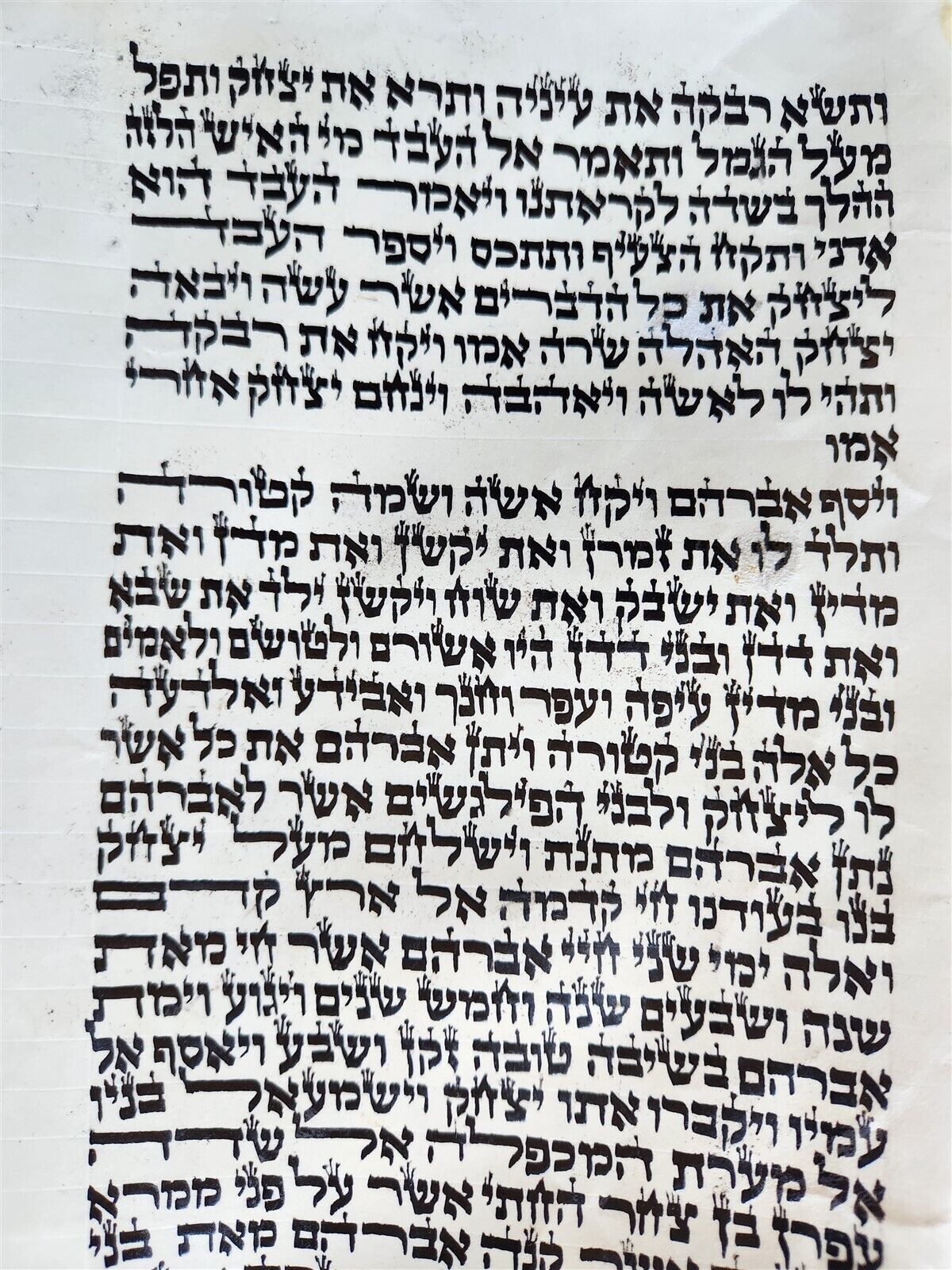 TORAH SCROLL FRAGMENT MANUSCRIPT on VELLUM antique BIBLE GENESIS 24:64-28:15