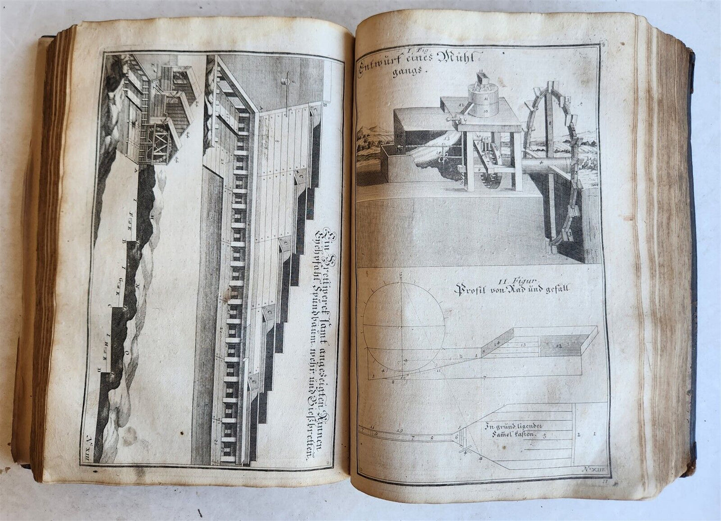 1702 Oeconomus prudens ILLUSTRATED 2 FOLIO VOLUMES antique in GERMAN