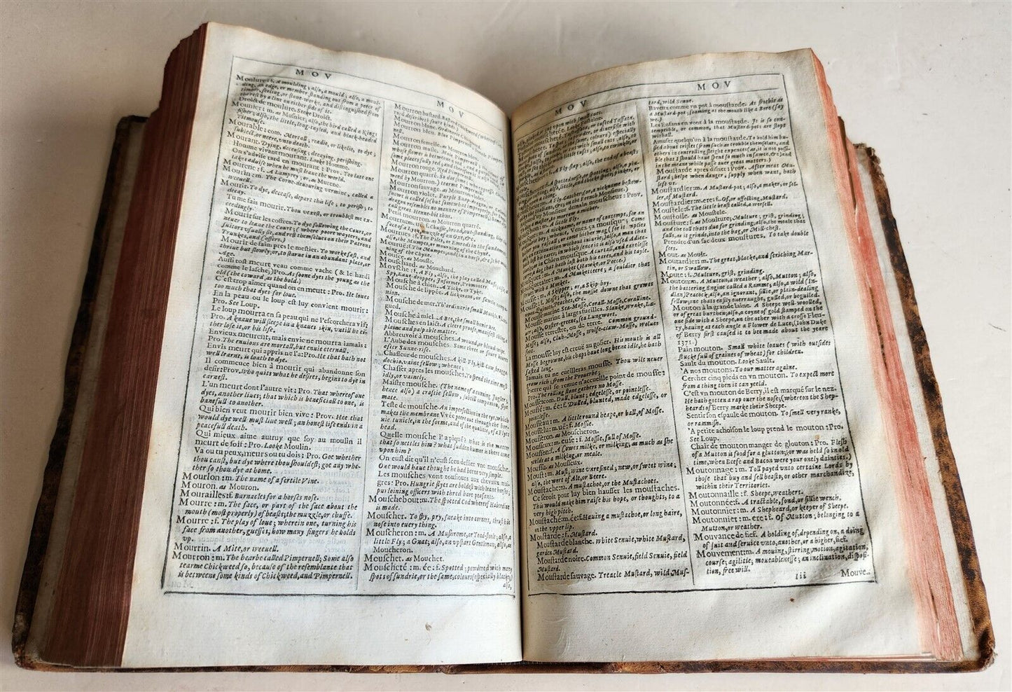 1632 DICTIONARIE of FRENCH & ENGLISH TONGUES by Randle Cotgrave antique ENGLISH