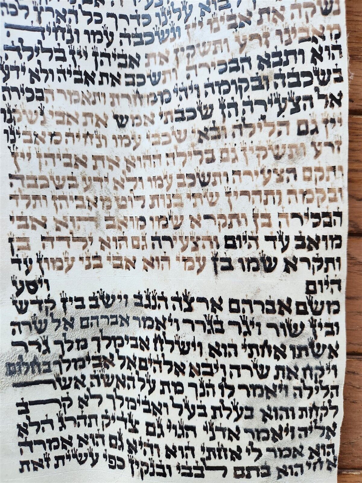 TORAH SCROLL FRAGMENT MANUSCRIPT VELLUM antique BIBLE GENESIS SODOM & GOMORRAH