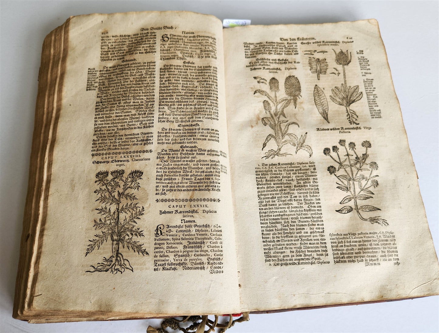 1696 THEATRUM BOTANICUM by Theodor ZWINGER antique ILLUSTRATED FOLIO in GERMAN