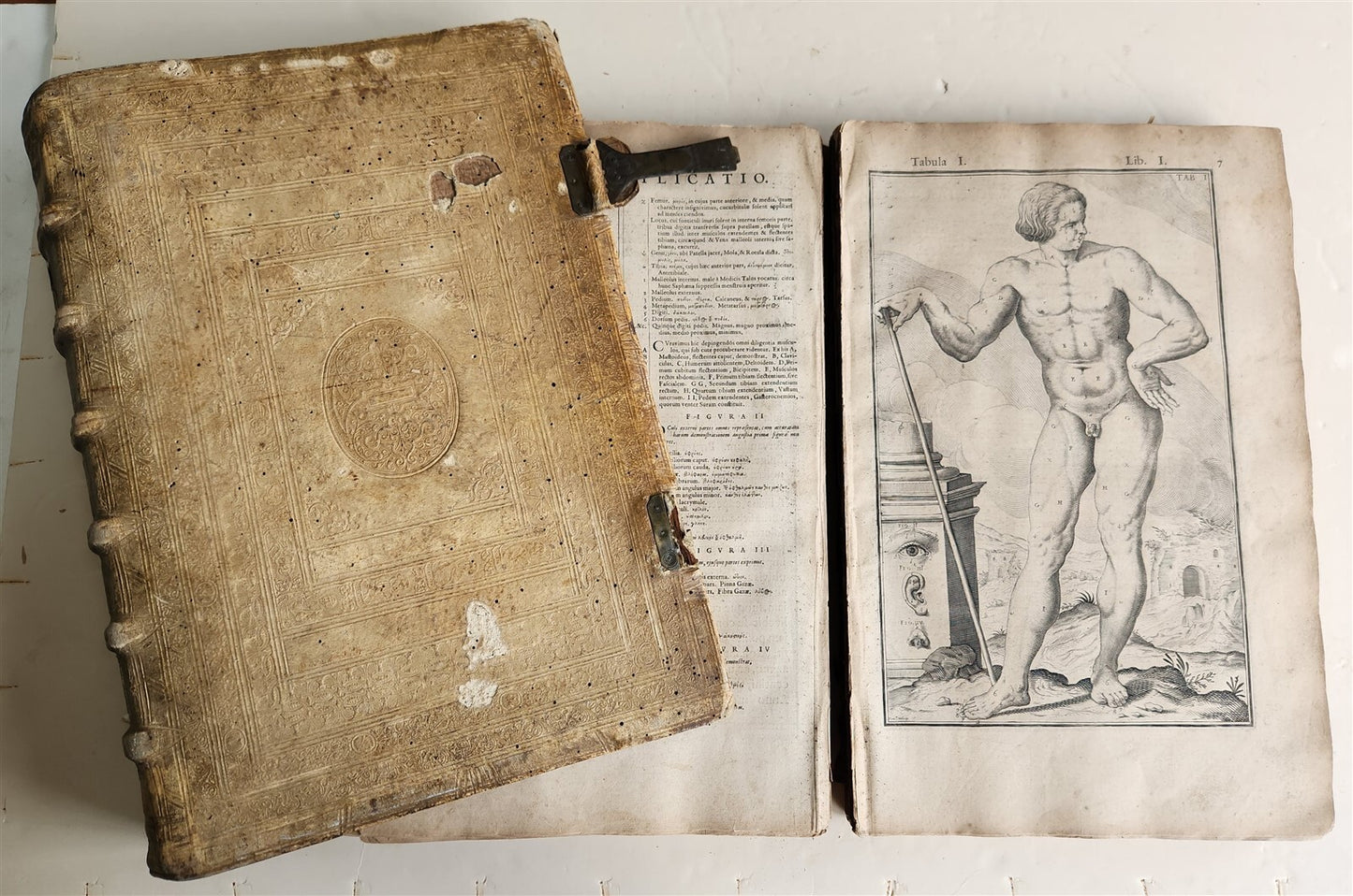 1645 ANATOMY TREATISE Adrian Spigelius 176 ENGRAVINGS ILLUSTRATED FOLIO antique