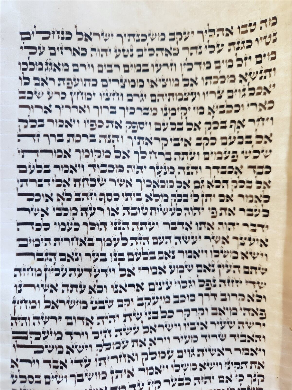 TORAH SCROLL FRAGMENT MANUSCRIPT on VELLUM antique BIBLE BOOK OF NUMBERS
