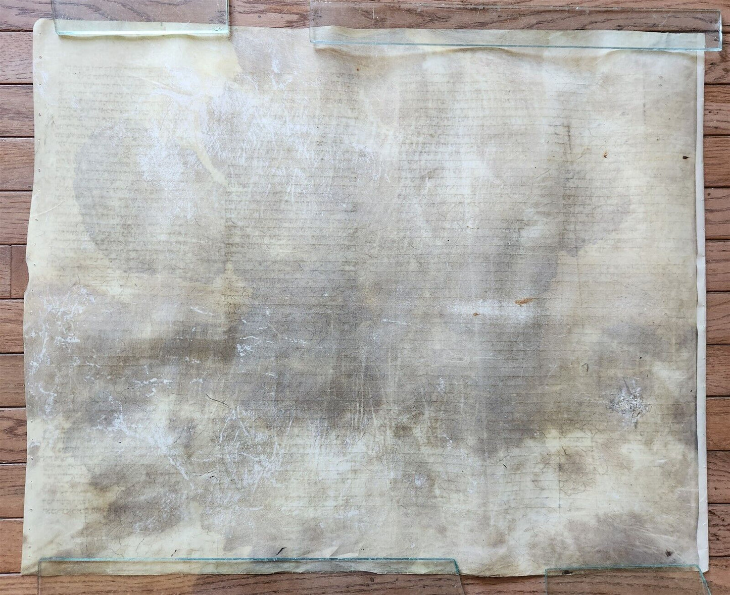 TORAH SCROLL FRAGMENT MANUSCRIPT on VELLUM antique BIBLE EXODUS 12:5-14:28