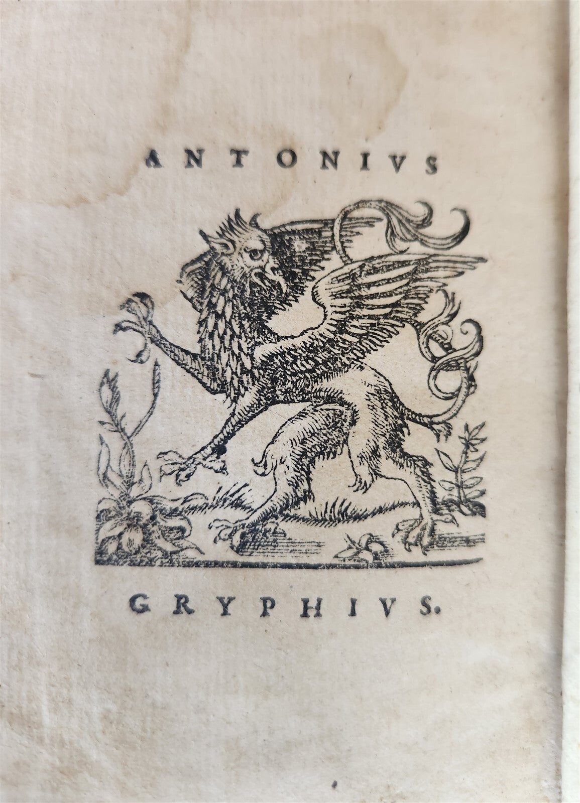 1576 TWELVE CAESARS by SUETONIUS antique VELLUM BOUND ROMAN HISTORY