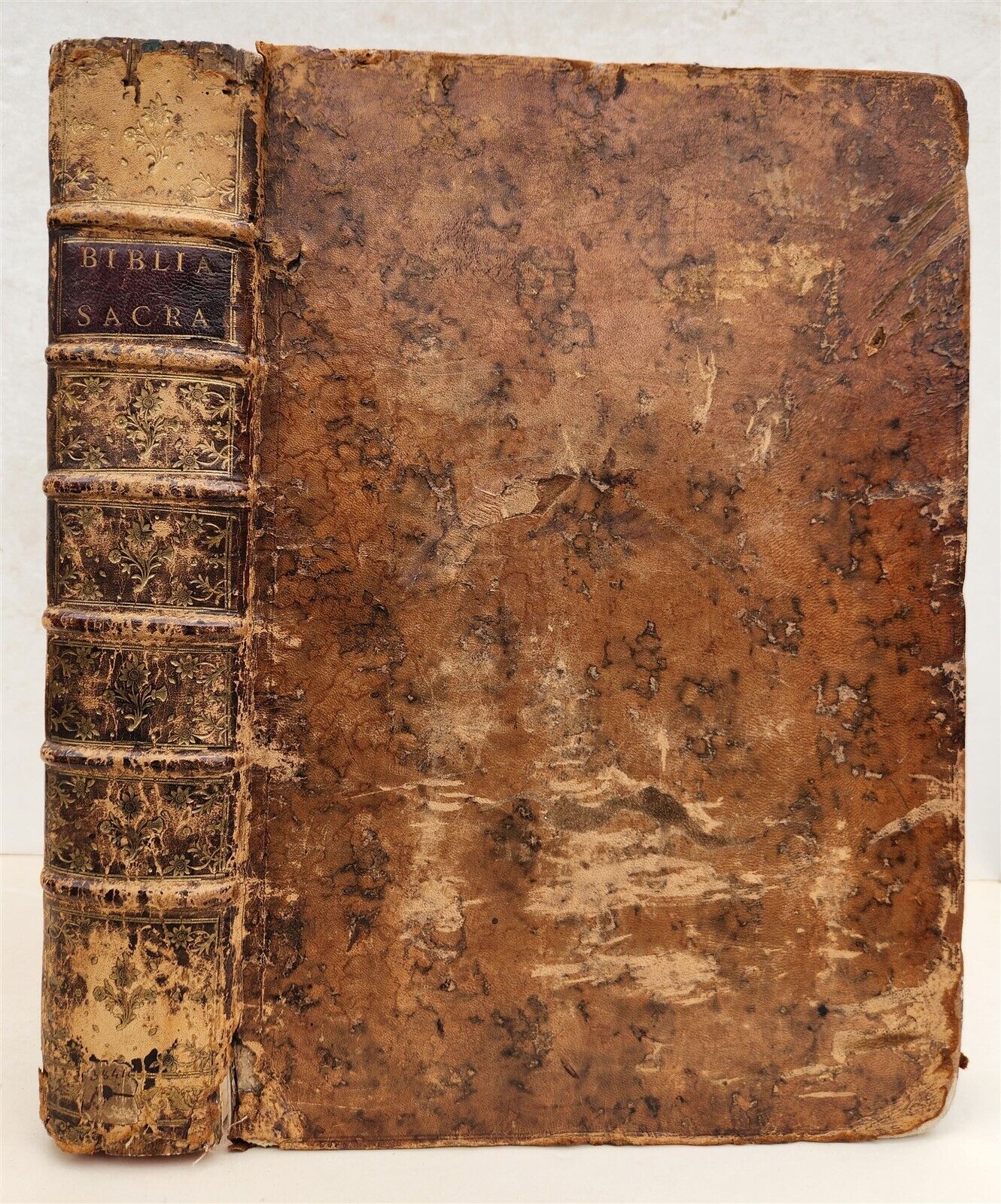 1537 BIBLE in LATIN antique FOLIO BIBLIA BREVES IN AEDEM ANNOTATIONES 16th CENT.