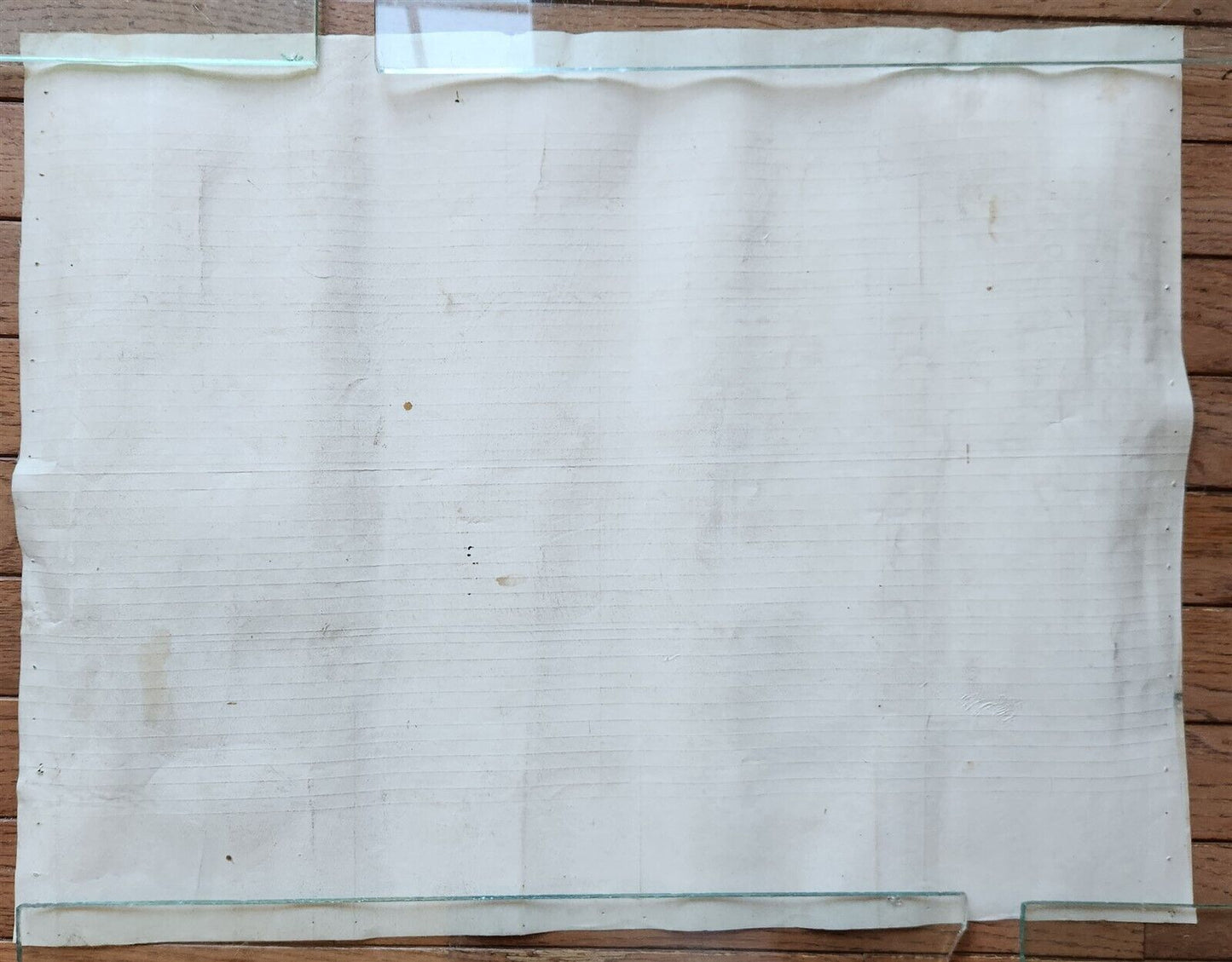 TORAH SCROLL FRAGMENT MANUSCRIPT on VELLUM antique BIBLE GENESIS 15:16-19:14