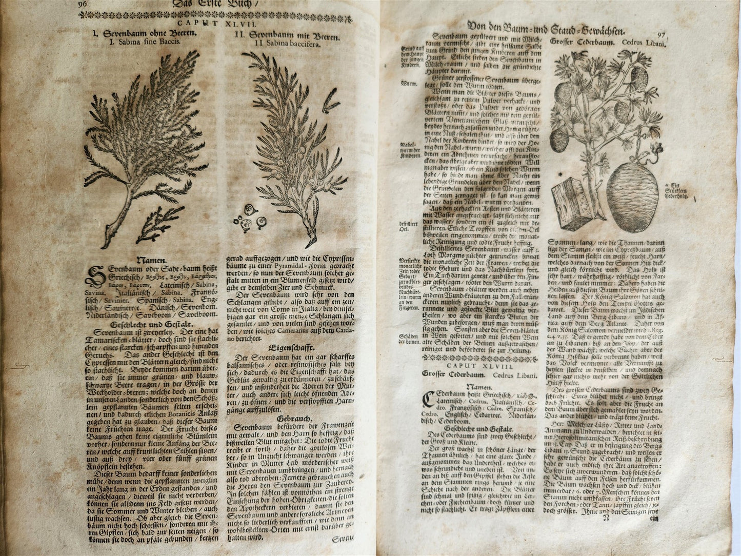 1696 THEATRUM BOTANICUM by Theodor ZWINGER antique ILLUSTRATED FOLIO in GERMAN