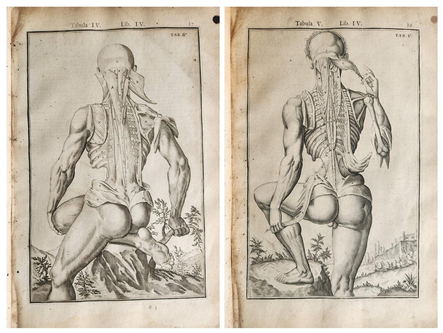 1645 ANATOMY TREATISE Adrian Spigelius 176 ENGRAVINGS ILLUSTRATED FOLIO antique