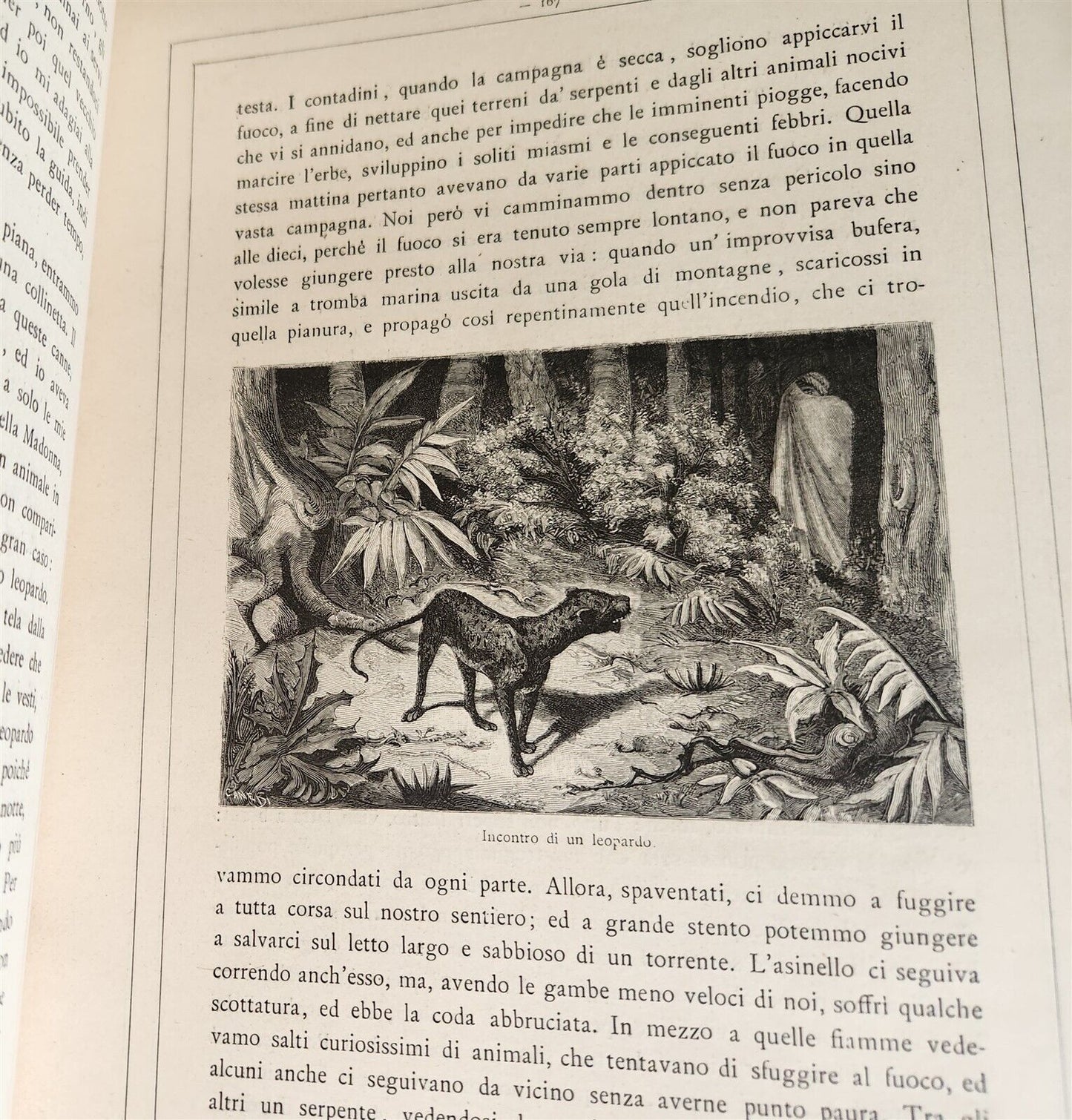 1885 TRAVELS in ETHIOPIA AFRICA in ITALIAN 6 FOLIO VOLUMES antique ILLUSTRATED