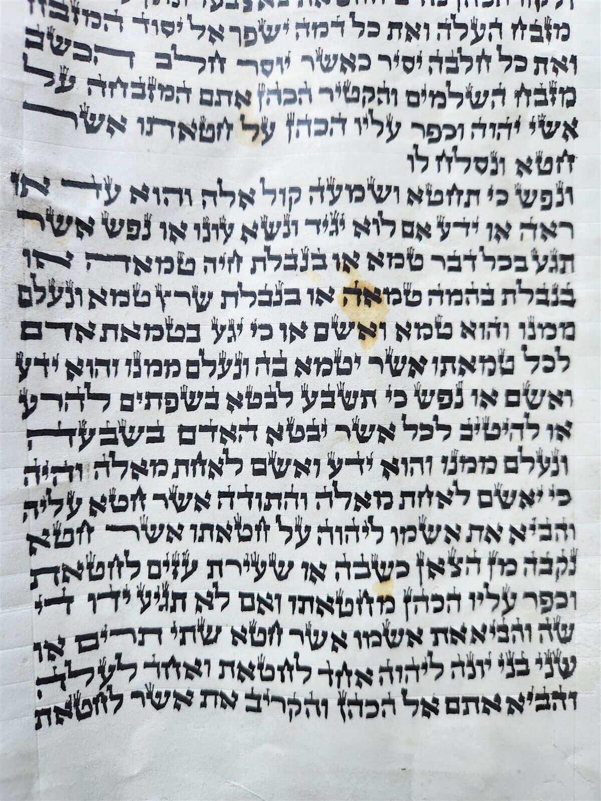 TORAH SCROLL FRAGMENT MANUSCRIPT on VELLUM antique BIBLE LEVITICUS 4:23-6:3