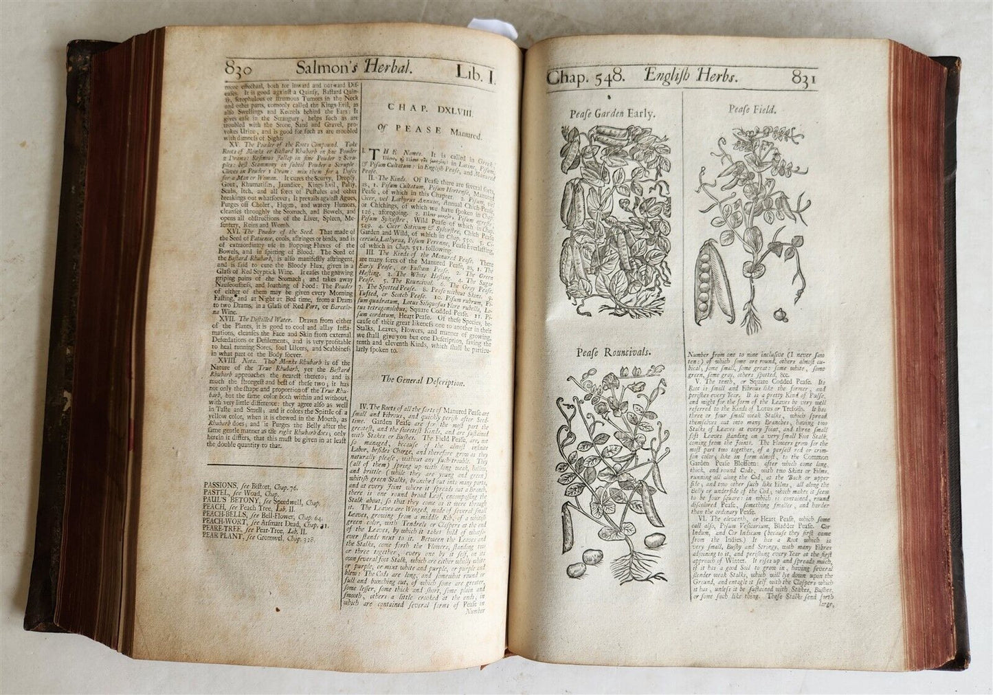 1710 BOTANOLOGIA ENGLISH HERBAL antique ILLUSTRATED MASSIVE FOLIO
