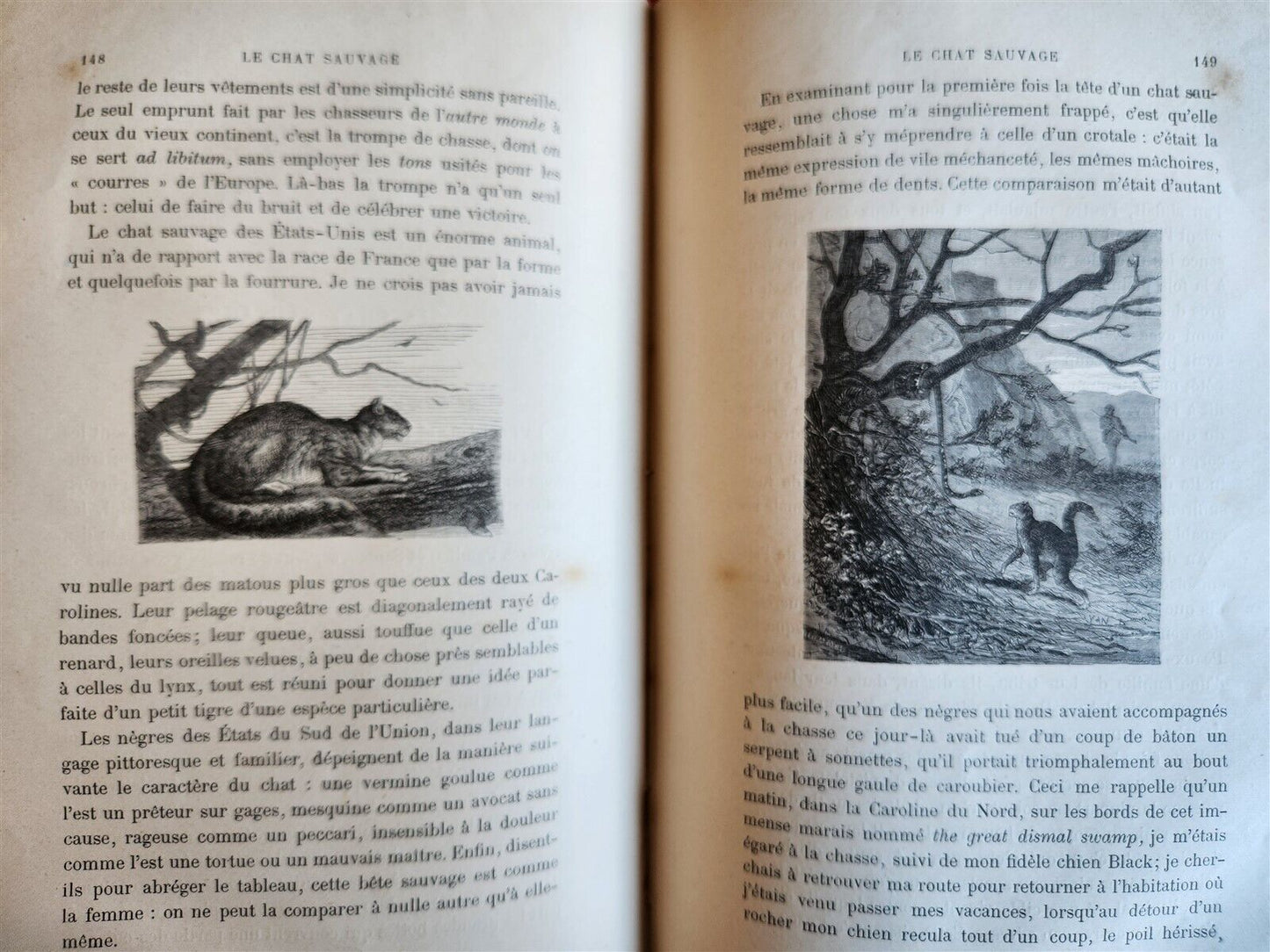 1884 HUNTING in NORTH AMERICA CHASSES dans AMERIQUE du NORD antique ILLUSTRATED