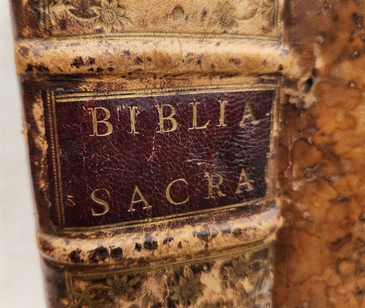1537 BIBLE in LATIN antique FOLIO BIBLIA BREVES IN AEDEM ANNOTATIONES 16th CENT.