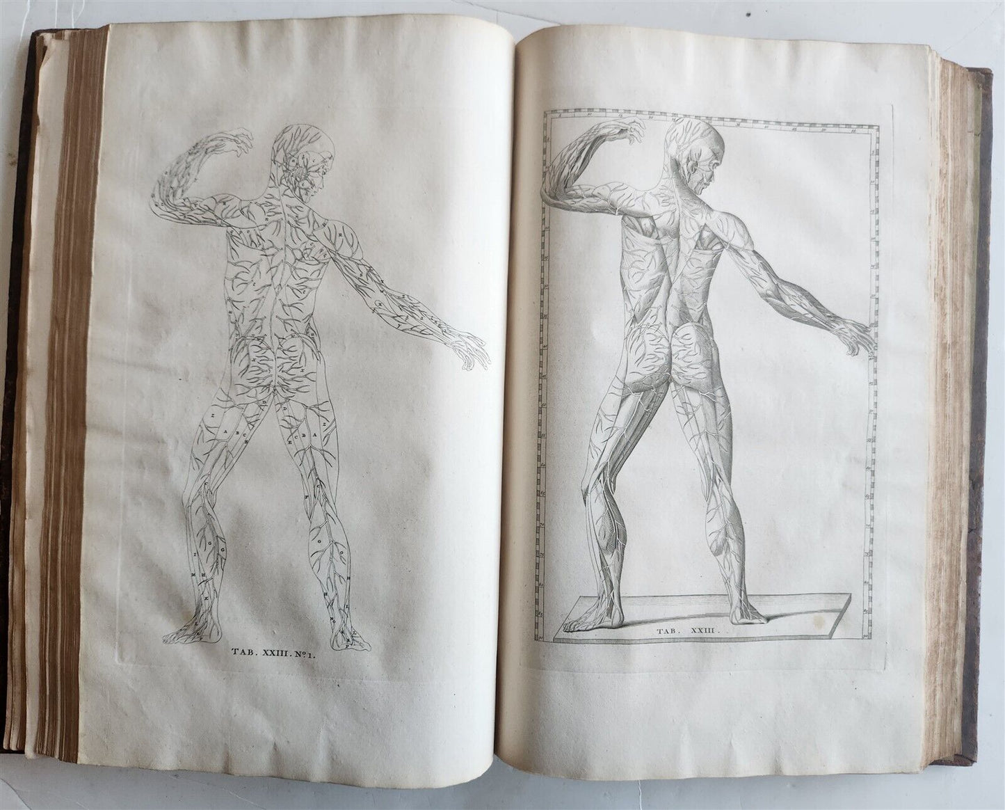 1744 ILLUSTRATED ANATOMY antique FOLIO Explicatio tabularum anatomicarum ALBINUS