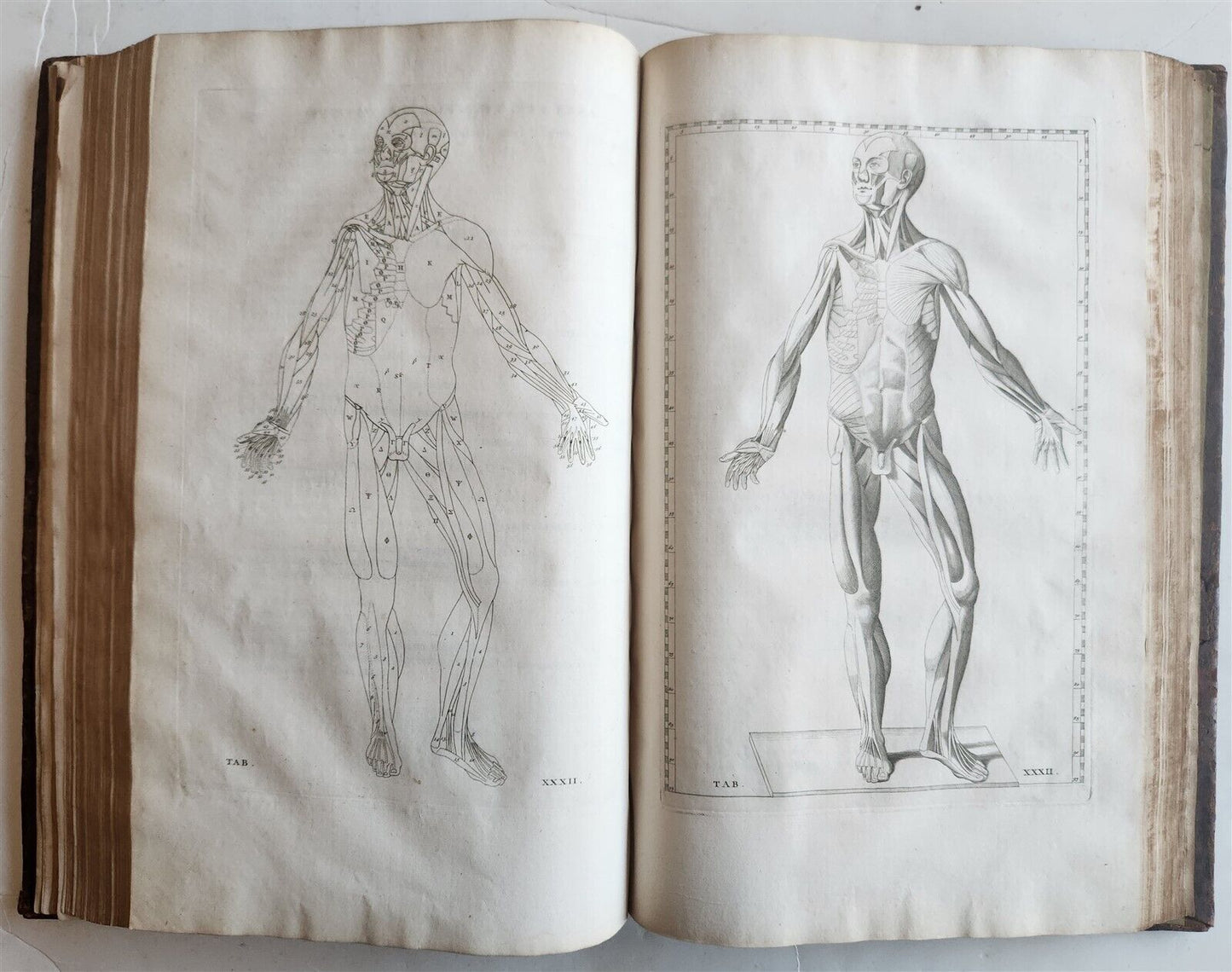 1744 ILLUSTRATED ANATOMY antique FOLIO Explicatio tabularum anatomicarum ALBINUS