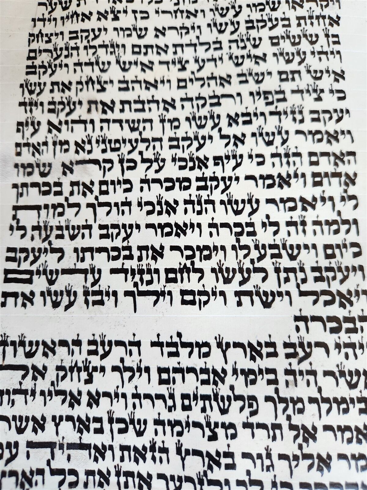 TORAH SCROLL FRAGMENT MANUSCRIPT on VELLUM antique BIBLE GENESIS 24:64-28:15