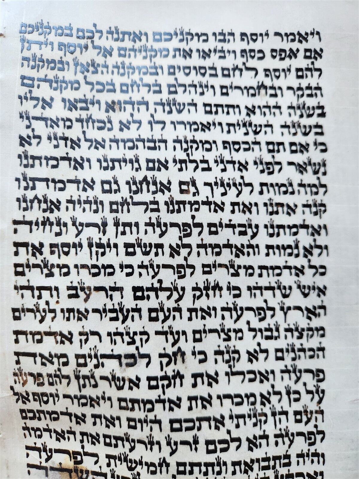 TORAH SCROLL FRAGMENT MANUSCRIPT on VELLUM antique BIBLE GENESIS 44:30-48:5