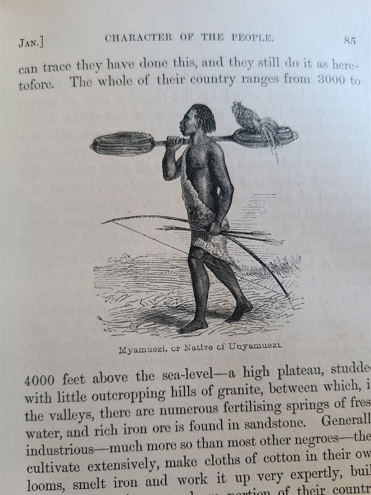 1863 JOURNAL of DISCOVERY of SOURCE of NILE antique ILLUSTRATED in ENGLISH