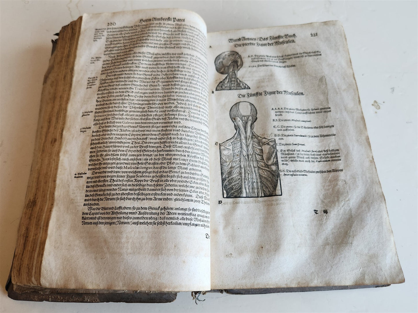 1601 WOUND MEDICINE antique ILLUSTRATED WundArtzney oder Artzney spiegell FOLIO