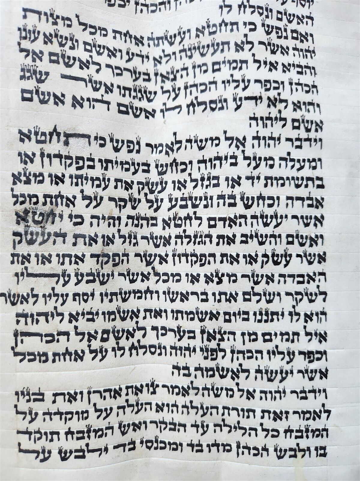TORAH SCROLL FRAGMENT MANUSCRIPT on VELLUM antique BIBLE LEVITICUS 4:23-6:3