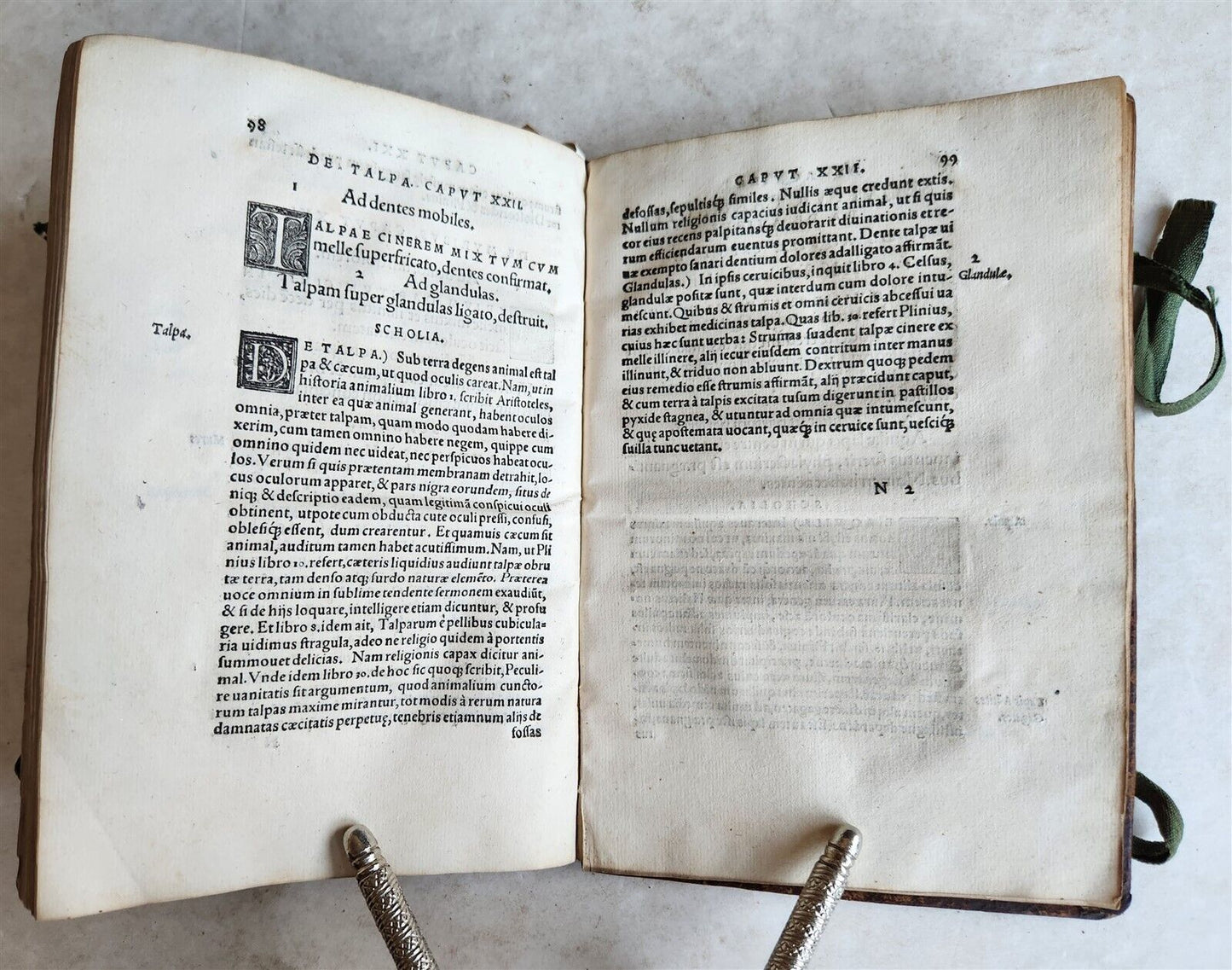 1539 PLATONIC PHILOSOPHY on MEDICINE of BEASTS CATTLE & BIRDS antique 16th CENT.