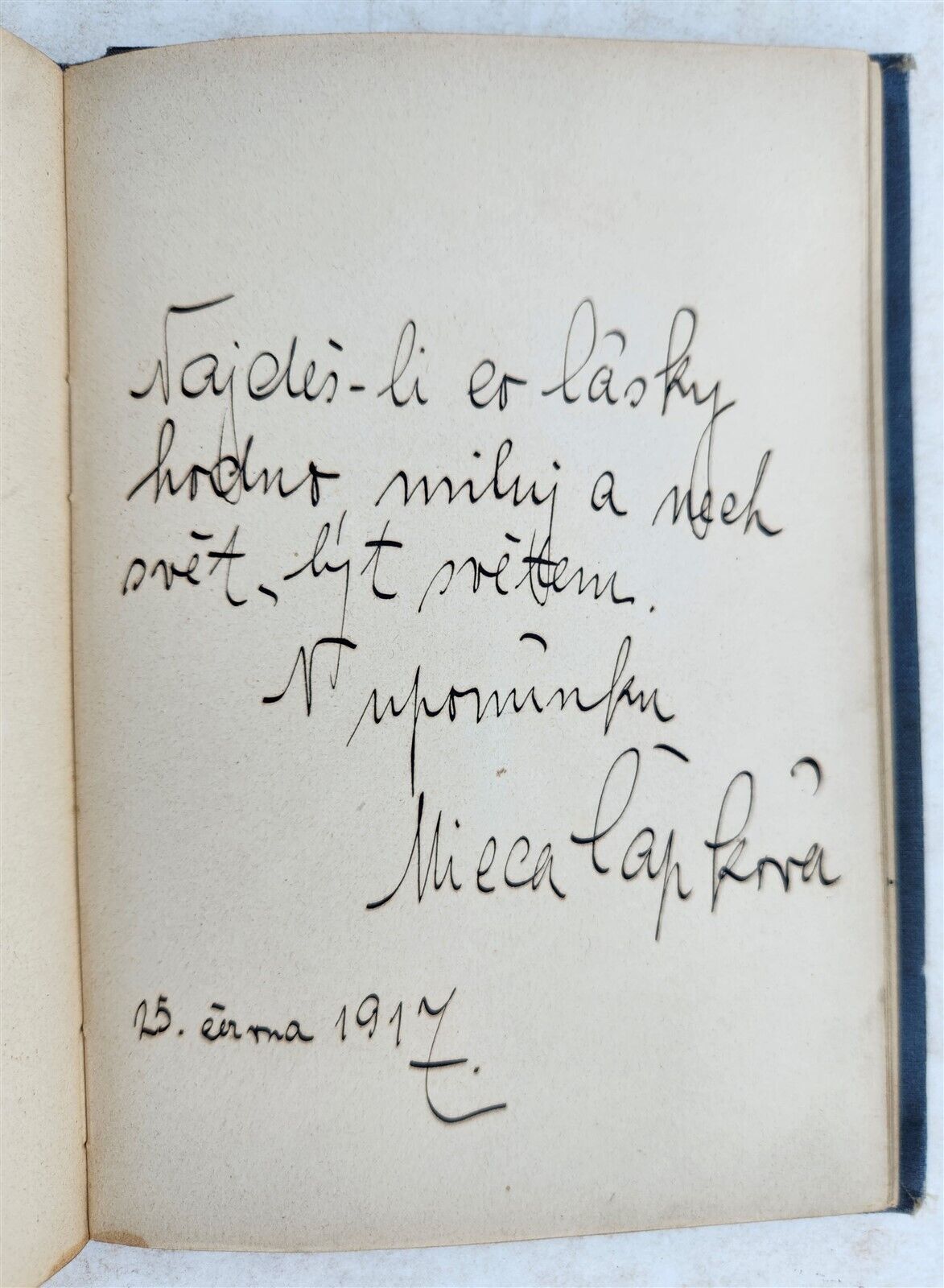 1912-18 ALBUM AMICORUM - MANUSCRIPT CZECH GERMAN BOOK antique POETRY ILLUSTRATED