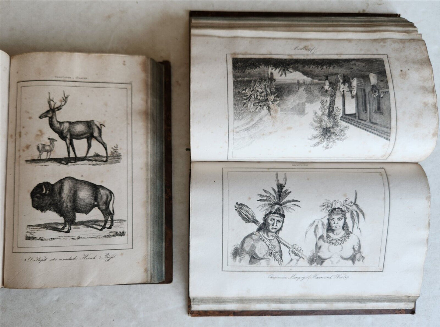 1838 ILLUSTRATED HISTORY of NORTH AMERICA Brazil Columbia & Gyana antique