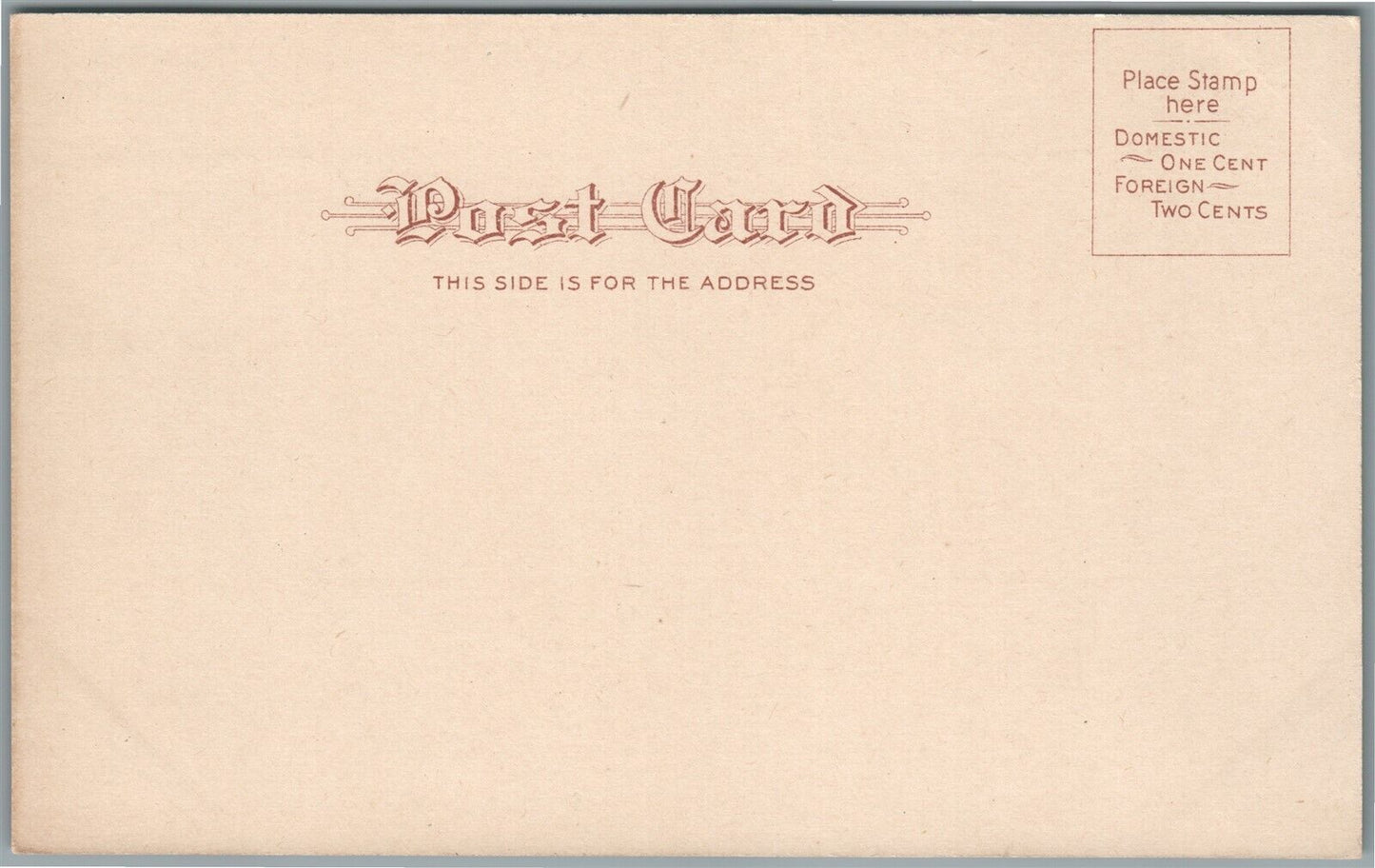 NEW YORK NY CHESTNUT VENDER ANTIQUE POSTCARD