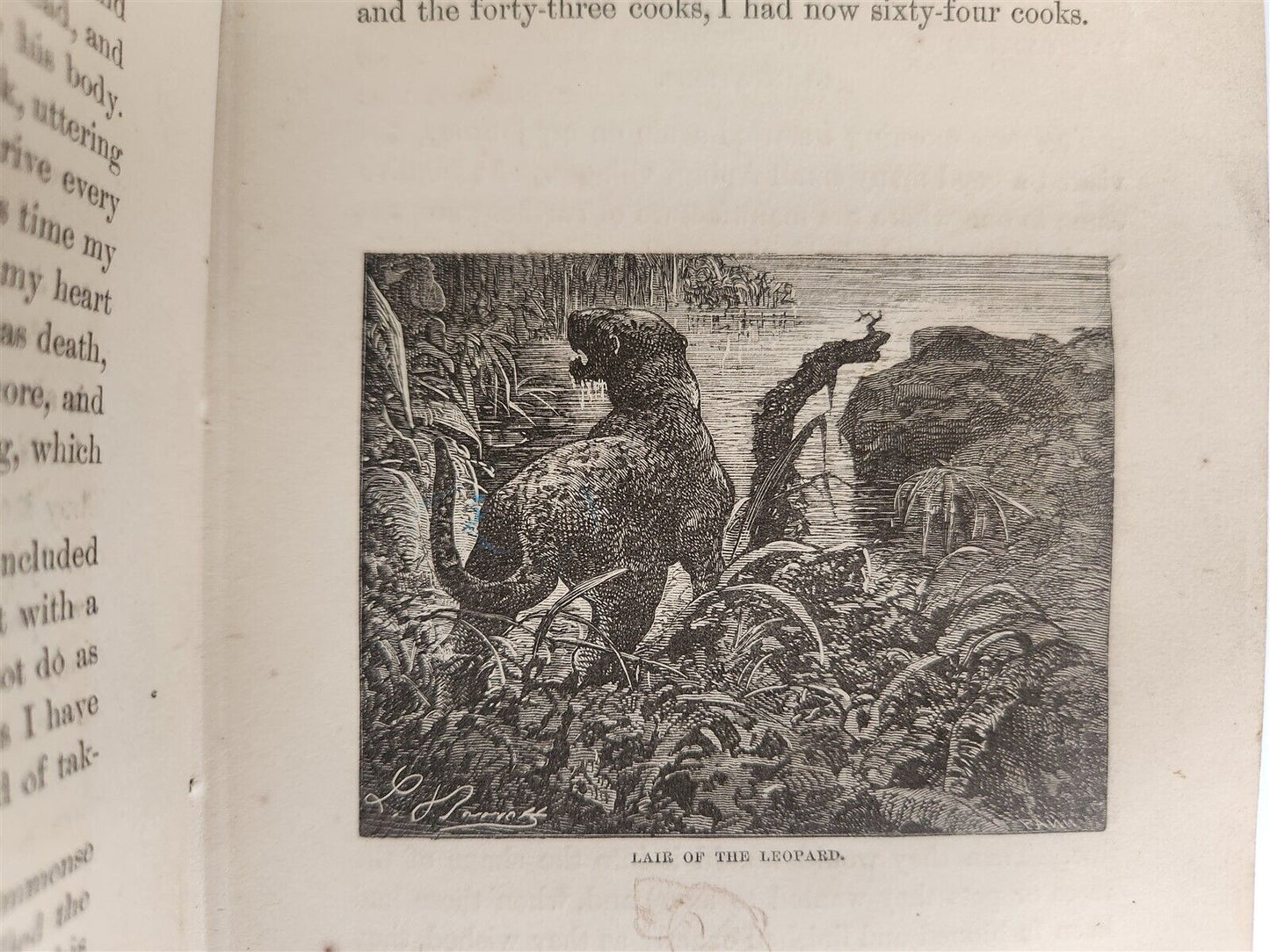 1871 MY APINGI KINGDOM LIFE in GREAT SAHARA PAUL DU CHAILLU antique ILLUSTRATED