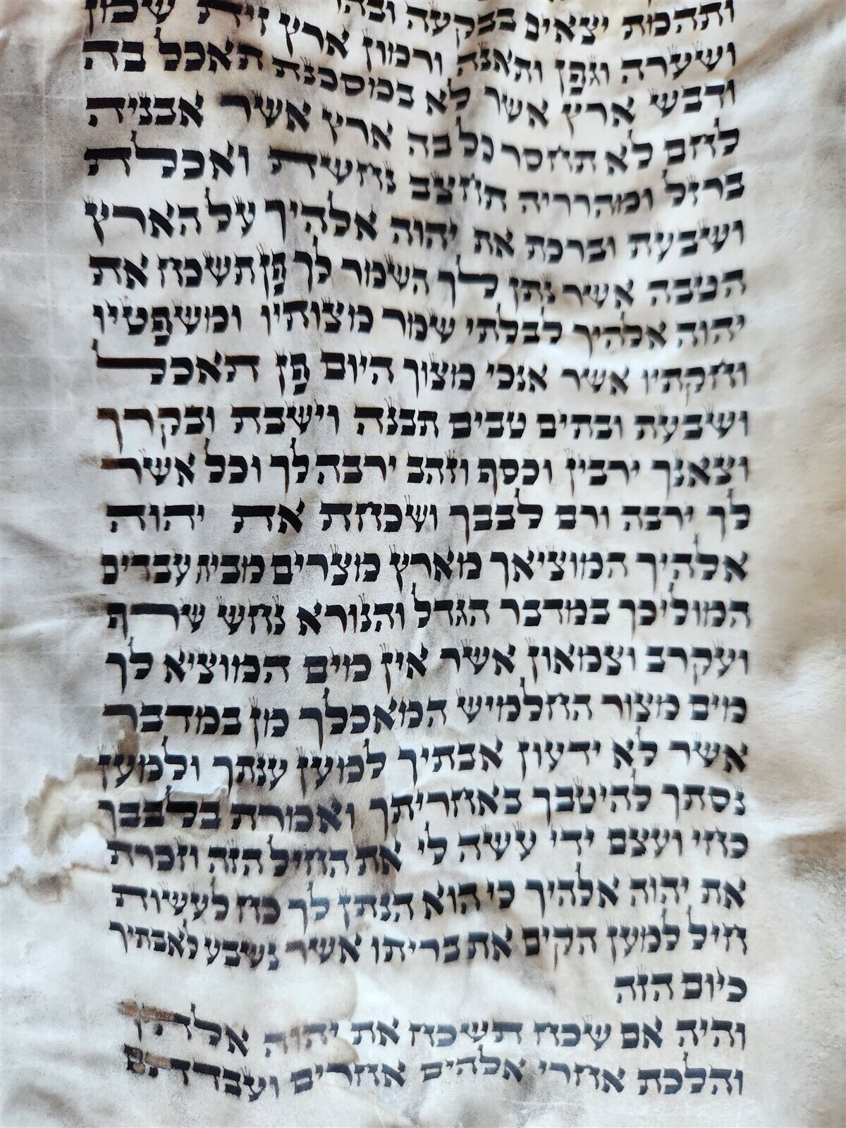 TORAH SCROLL FRAGMENT MANUSCRIPT on VELLUM antique BIBLE DEUTERONOMY 7:26-1:4