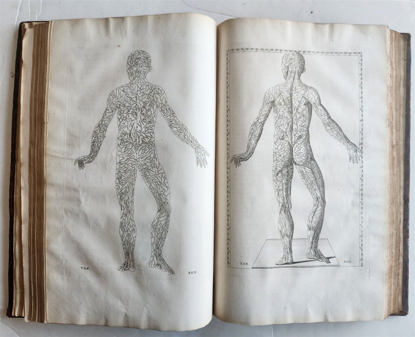 1744 ILLUSTRATED ANATOMY antique FOLIO Explicatio tabularum anatomicarum ALBINUS