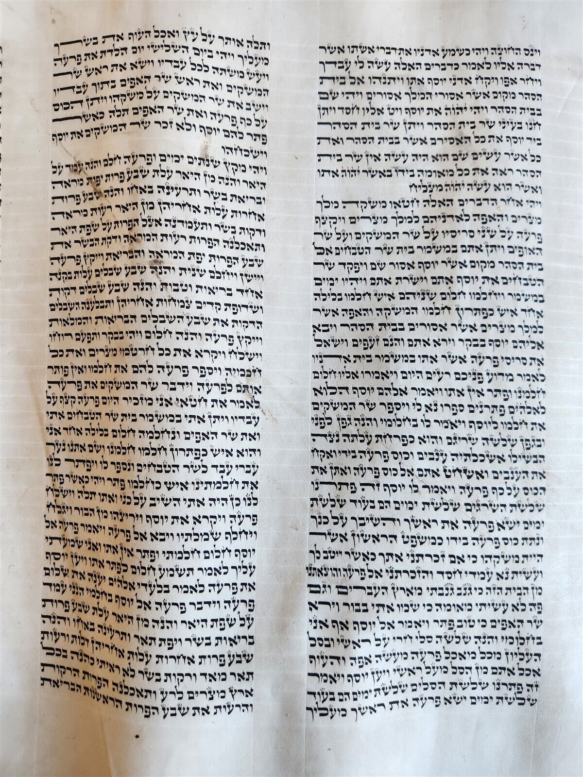 TORAH SCROLL large FRAGMENT MANUSCRIPT VELLUM antique BIBLE GENESIS 32:3-47:18