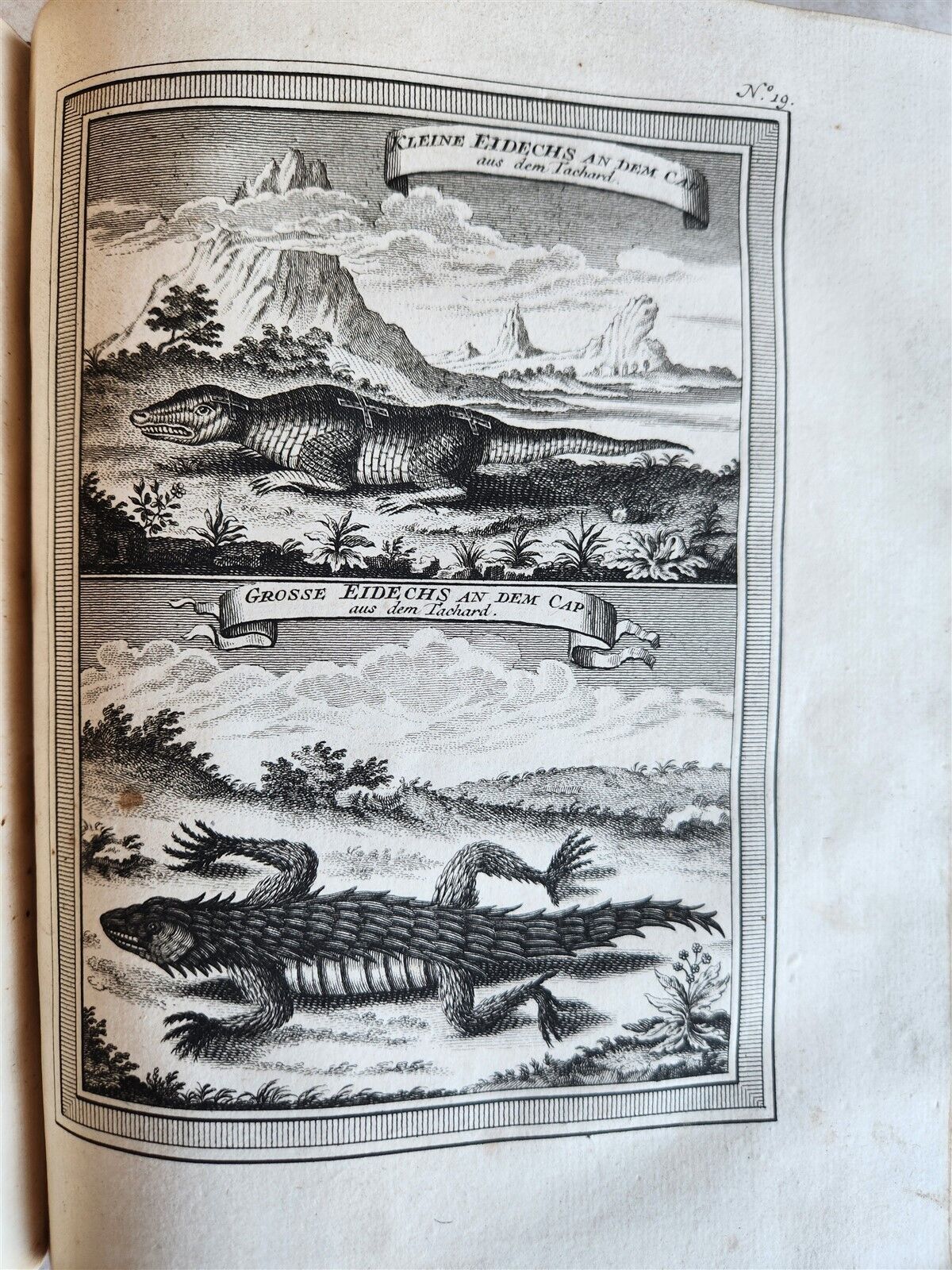 1749 TRAVELS HISTORY ILLUSTRATED antique AFRICA Guinea Benin Angola Loango Congo