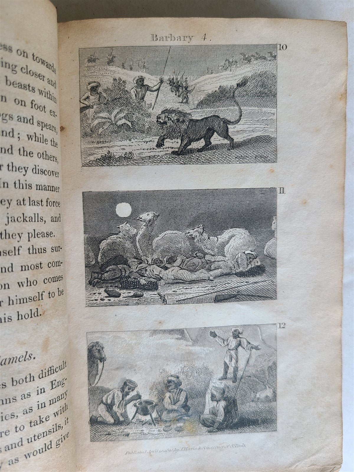 1821 SCENES in AFRICA antique illustrated CHILDRENS BOOK