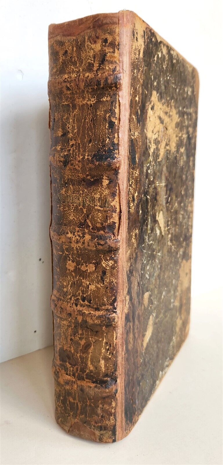 1562 BIBLE CONCORDANCE by JEAN BENOIT antique Concordantiae Novae Testamenti