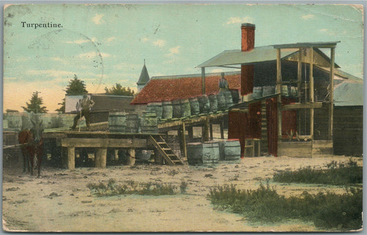 FLORIDA TURPENTINE PRODUCTION ANTIQUE POSTCARD