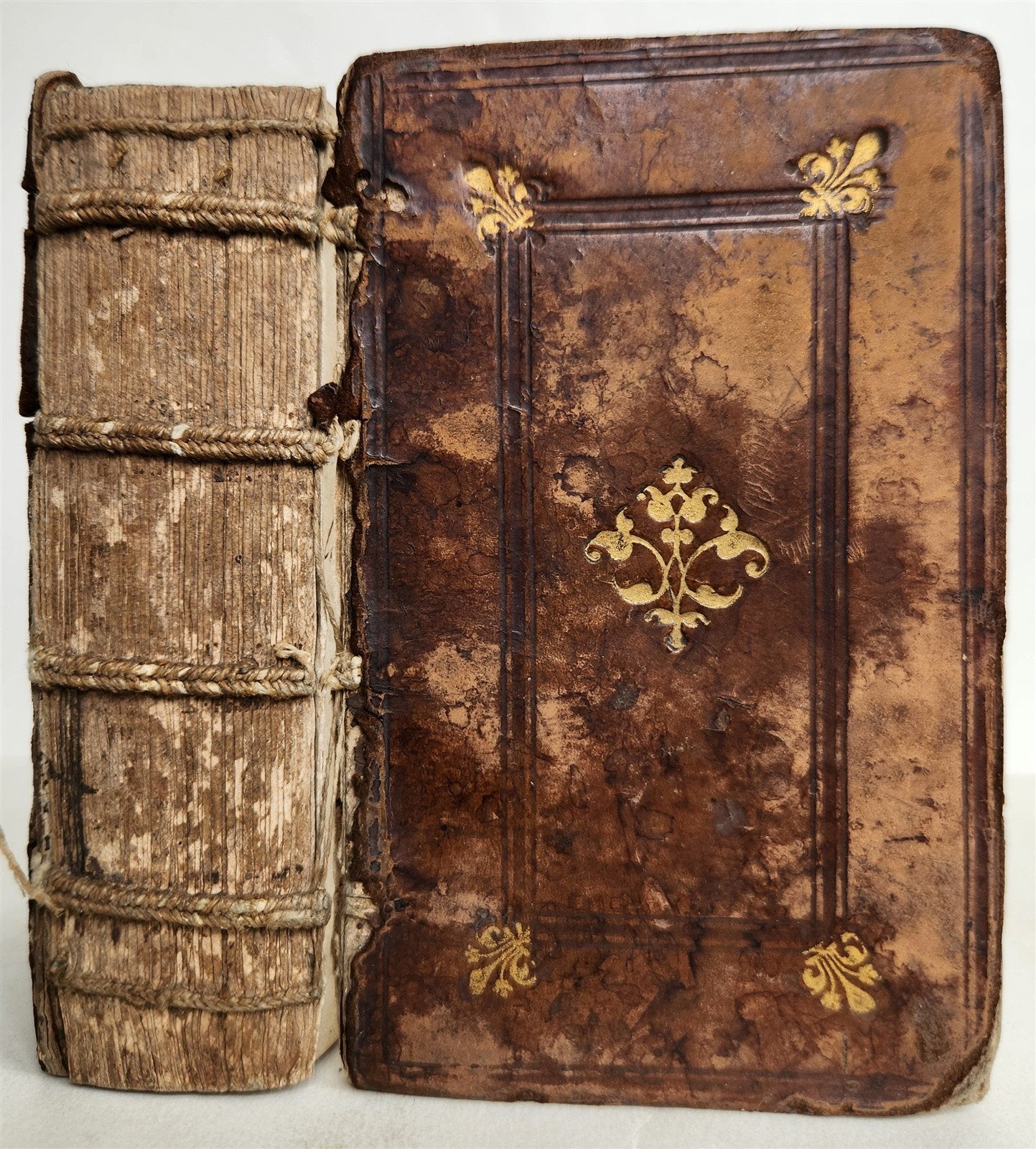 1554 GALEN medical APHORISMS of HIPPOCRATES antique 16th CENTURY