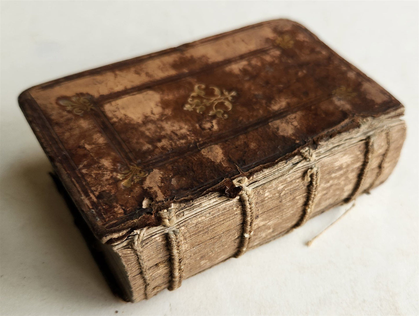 1554 GALEN medical APHORISMS of HIPPOCRATES antique 16th CENTURY