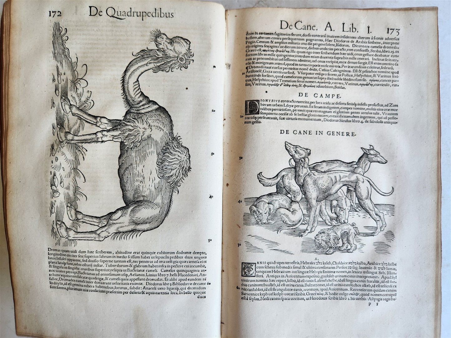 1551 HISTORIA ANIMALIUM by CONRAD GESSNER antique ILLUSTRATED 16th century FOLIO