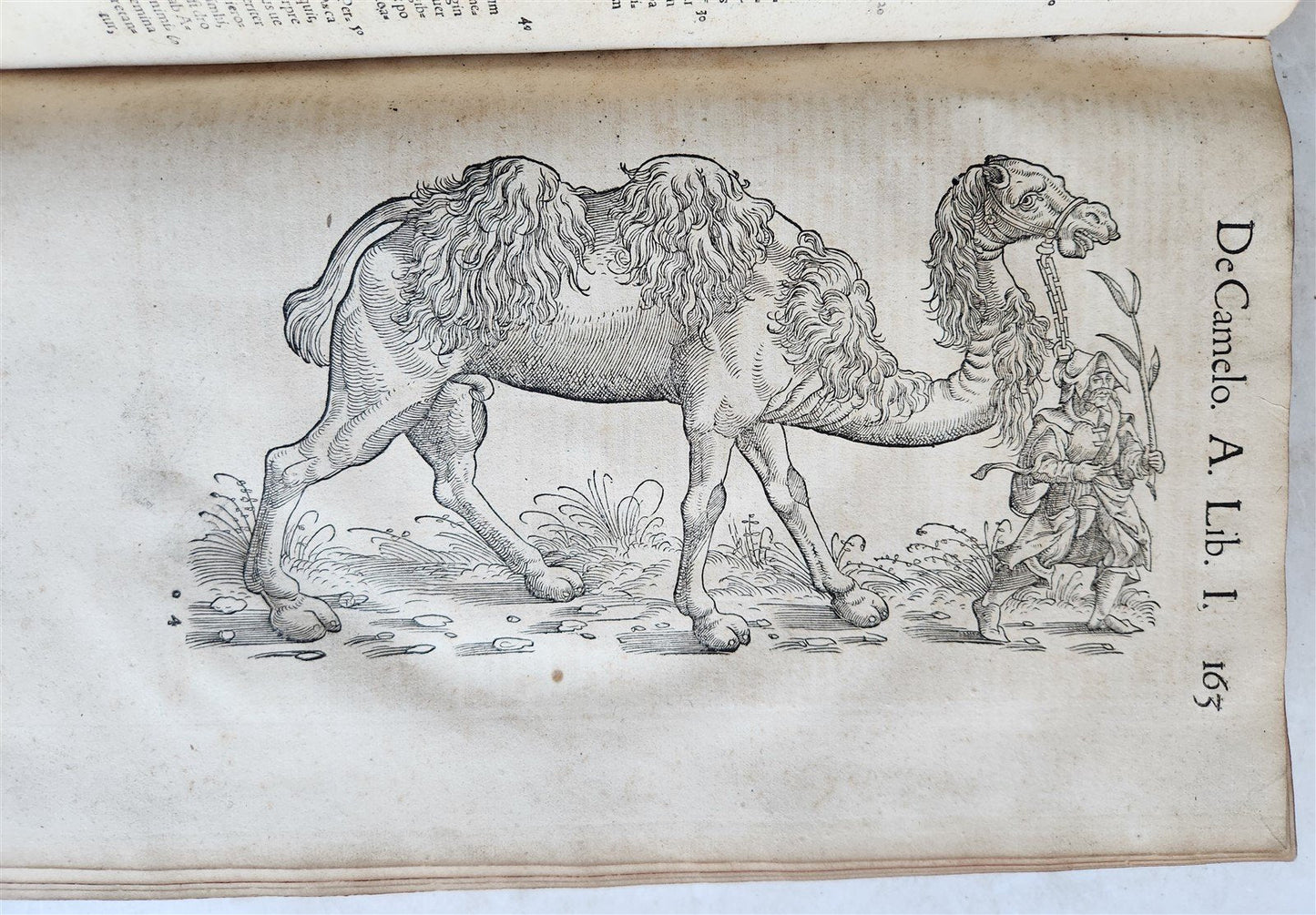 1551 HISTORIA ANIMALIUM by CONRAD GESSNER antique ILLUSTRATED 16th century FOLIO