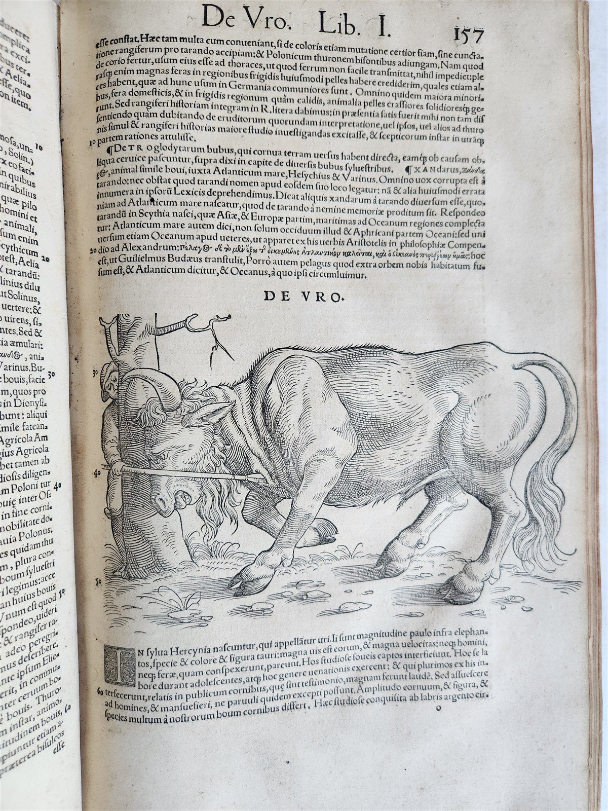 1551 HISTORIA ANIMALIUM by CONRAD GESSNER antique ILLUSTRATED 16th century FOLIO