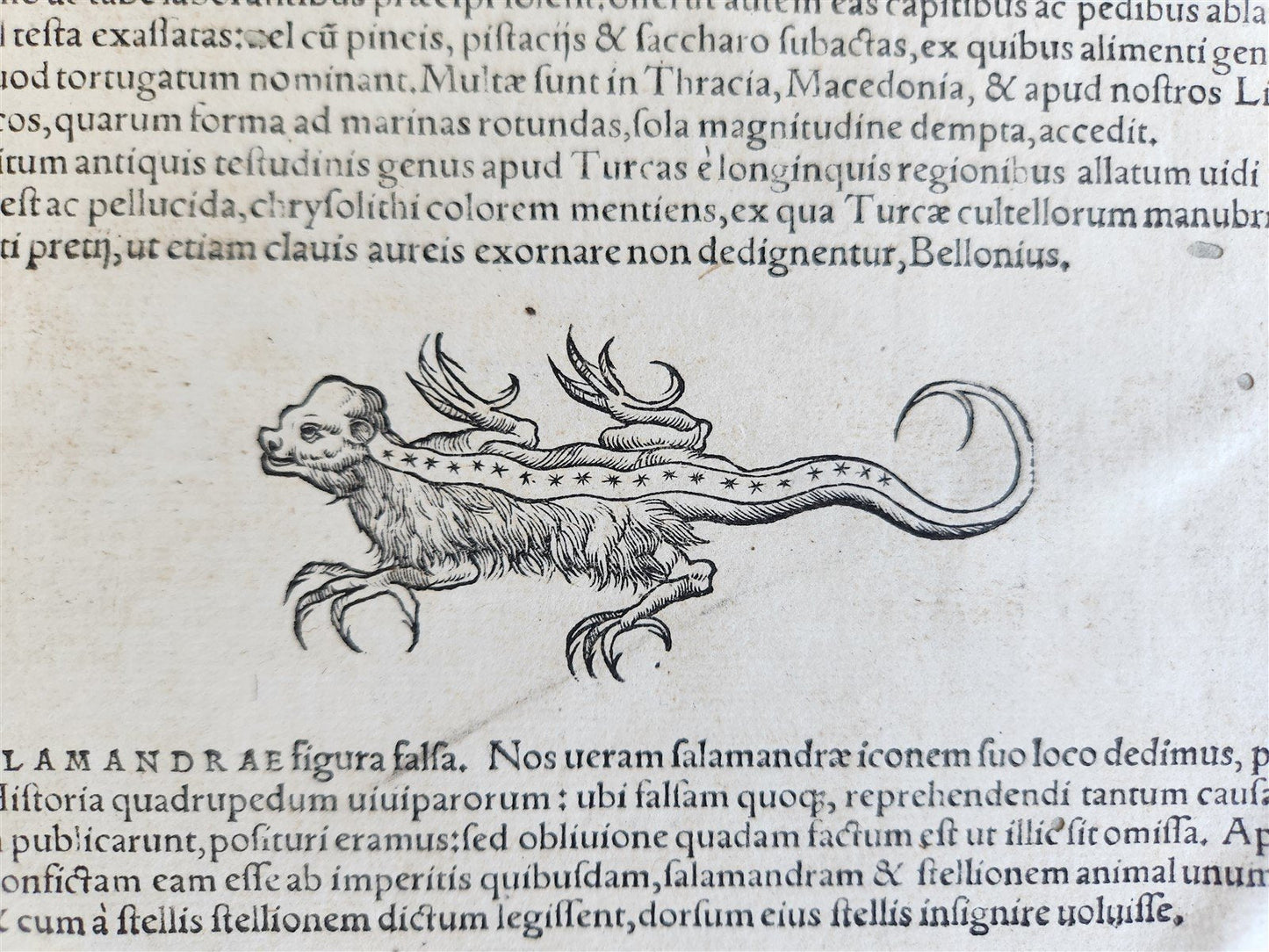 1551 HISTORIA ANIMALIUM by CONRAD GESSNER antique ILLUSTRATED 16th century FOLIO