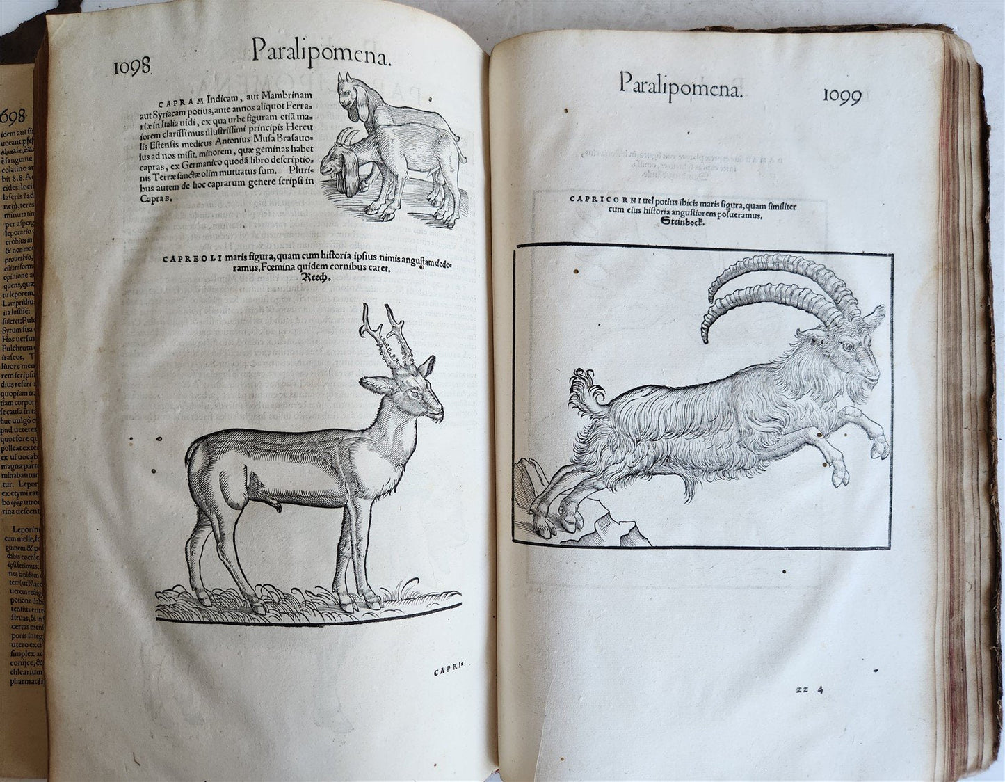 1551 HISTORIA ANIMALIUM by CONRAD GESSNER antique ILLUSTRATED 16th century FOLIO