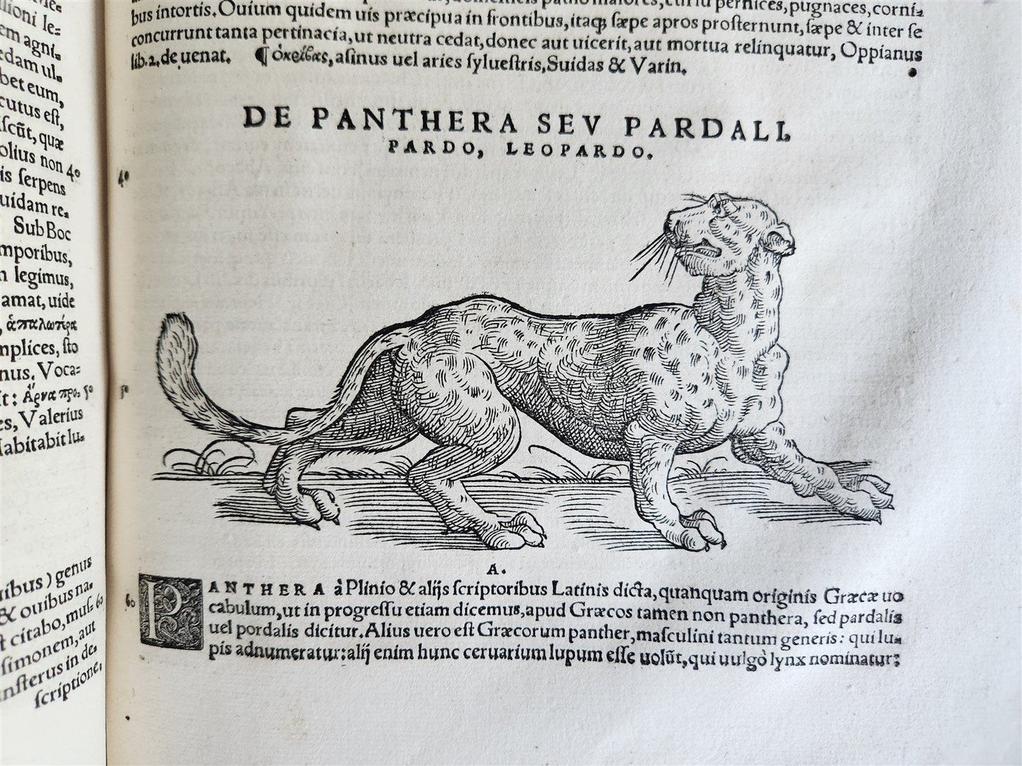 1551 HISTORIA ANIMALIUM by CONRAD GESSNER antique ILLUSTRATED 16th century FOLIO