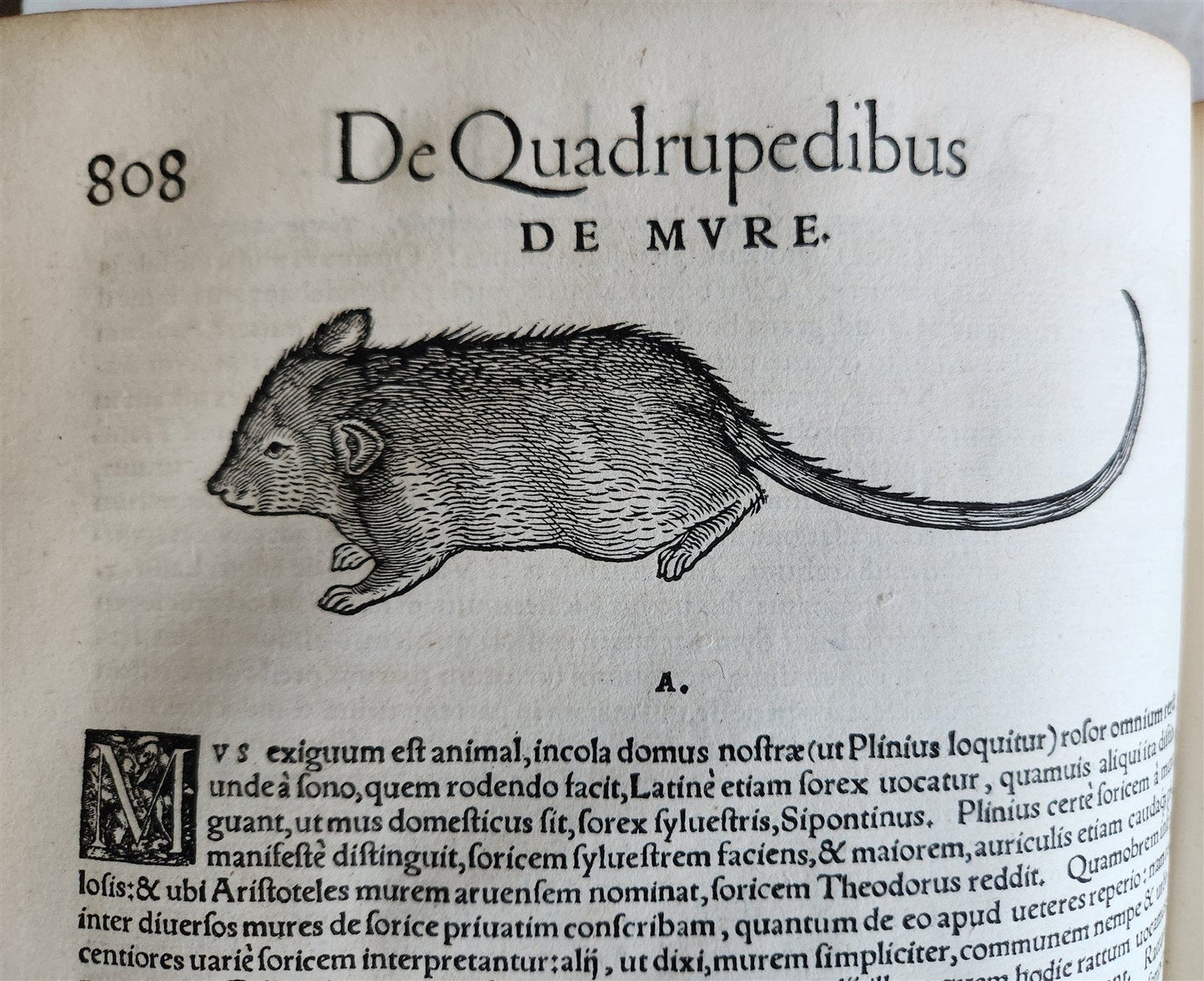 1551 HISTORIA ANIMALIUM by CONRAD GESSNER antique ILLUSTRATED 16th century FOLIO