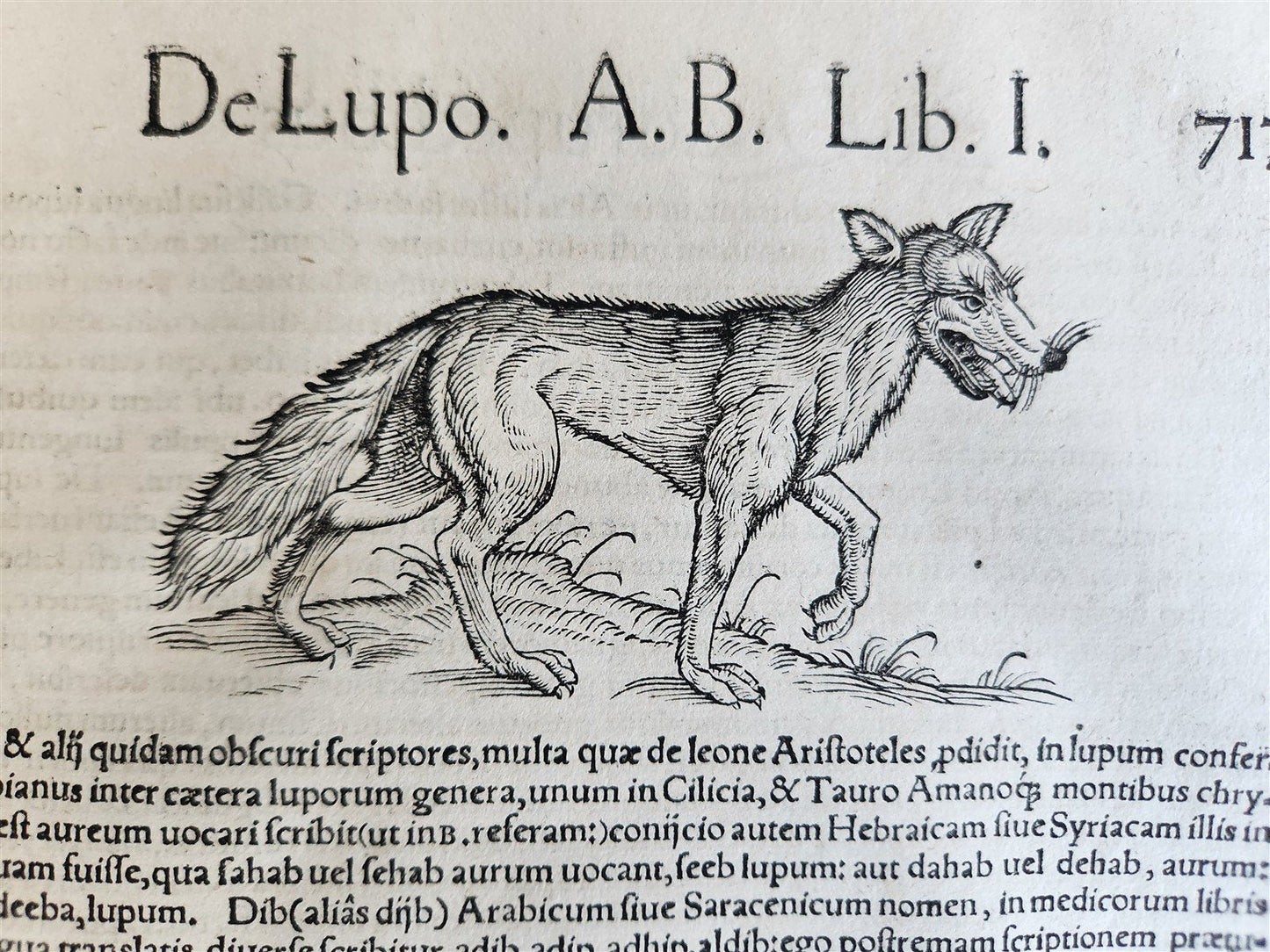 1551 HISTORIA ANIMALIUM by CONRAD GESSNER antique ILLUSTRATED 16th century FOLIO