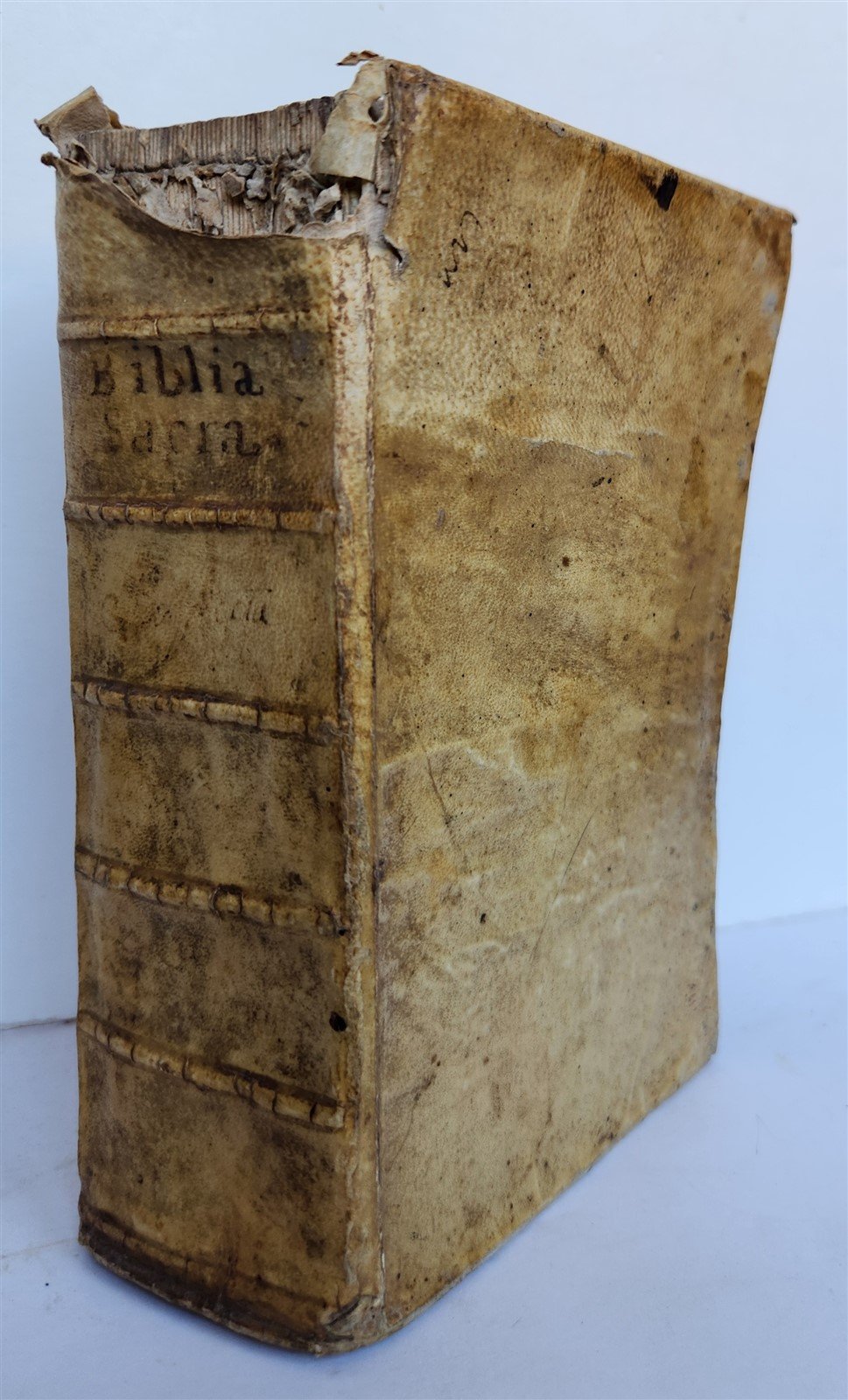 1679 BIBLE in LATIN antique vellum bound OLD & NEW TESTAMENT BIBLIA SACRA